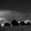 Img_2375_tint10x20_thumb