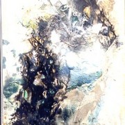 _mx200_blossom_among_snow-100_jpg__card