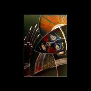 Dscf4826_copy_card