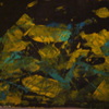 Dsc01322_thumb