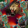 Wild_thing_16000__c_a_thumb