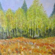 Birches_card
