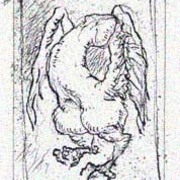 Pereza_card