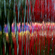 1054198-2-it-runs-red_watermark_card