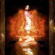File_134_card