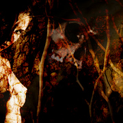 123_card