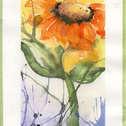 Img362_card