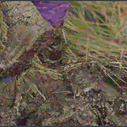5993462049_e2f7a4ec91_b_card