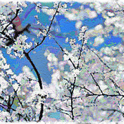5994758097_093e9a3240_b_card