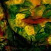 015_thumb