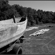 Alim0976-1_card