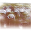 Cp2_thumb