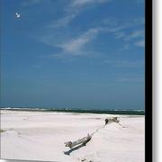 Beach-at-talbot-island-glennis-siverson_card