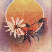 Godawari__nepal__card