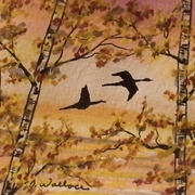 Gedc3855_card