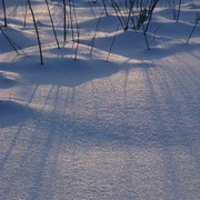 Snow2_030_card