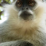 R0010019_card