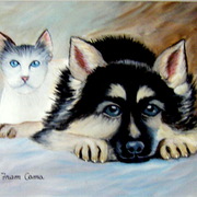 Imgp3584_card