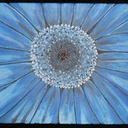 Dscn0138_card