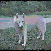 6007485932_20c3105fff_b_card