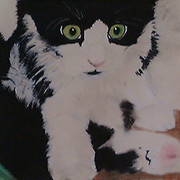 Tommykitten_card