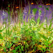 P1011927_card