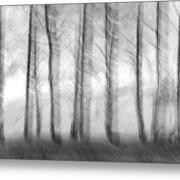 Stillness-in-motion-ii-glennis-siverson_card