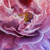 Thisrose__640x640___640x640__thumb