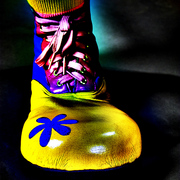 Flowerpower_lowres_byshannonholandphotography_card