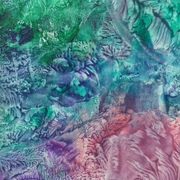 Hpim0471_card