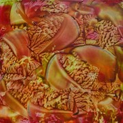 Hpim0297_card