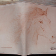 Pb111678_card