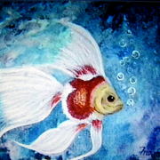 Imgp2710_card
