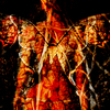 Mariposa_camuflagem_thumb