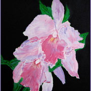 Img_3155_orchid_little_camera_by_collette_card