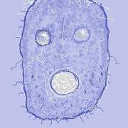 Hells_cell_card