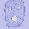 Hells_cell_thumb