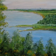 Volga_card