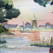 55567_card