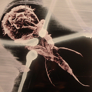 P8102179_card