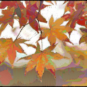 Fallleaves-2519_card