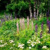Juli_2011_009_thumb