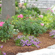 Rockportgarden1_card