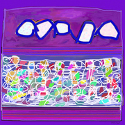 Transe_card