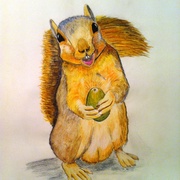Squirrel_card