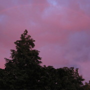 Rainbow_-_3-_card