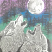 100_0024_card