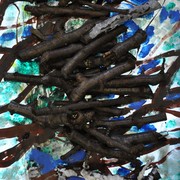 72branches01_card
