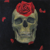 Skull2