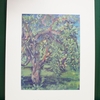 26_apple_tree_thumb